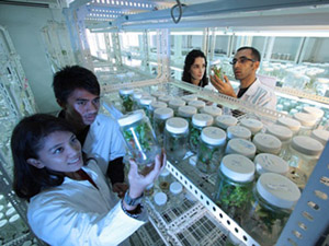 Science Laboratory 网站攻击测试